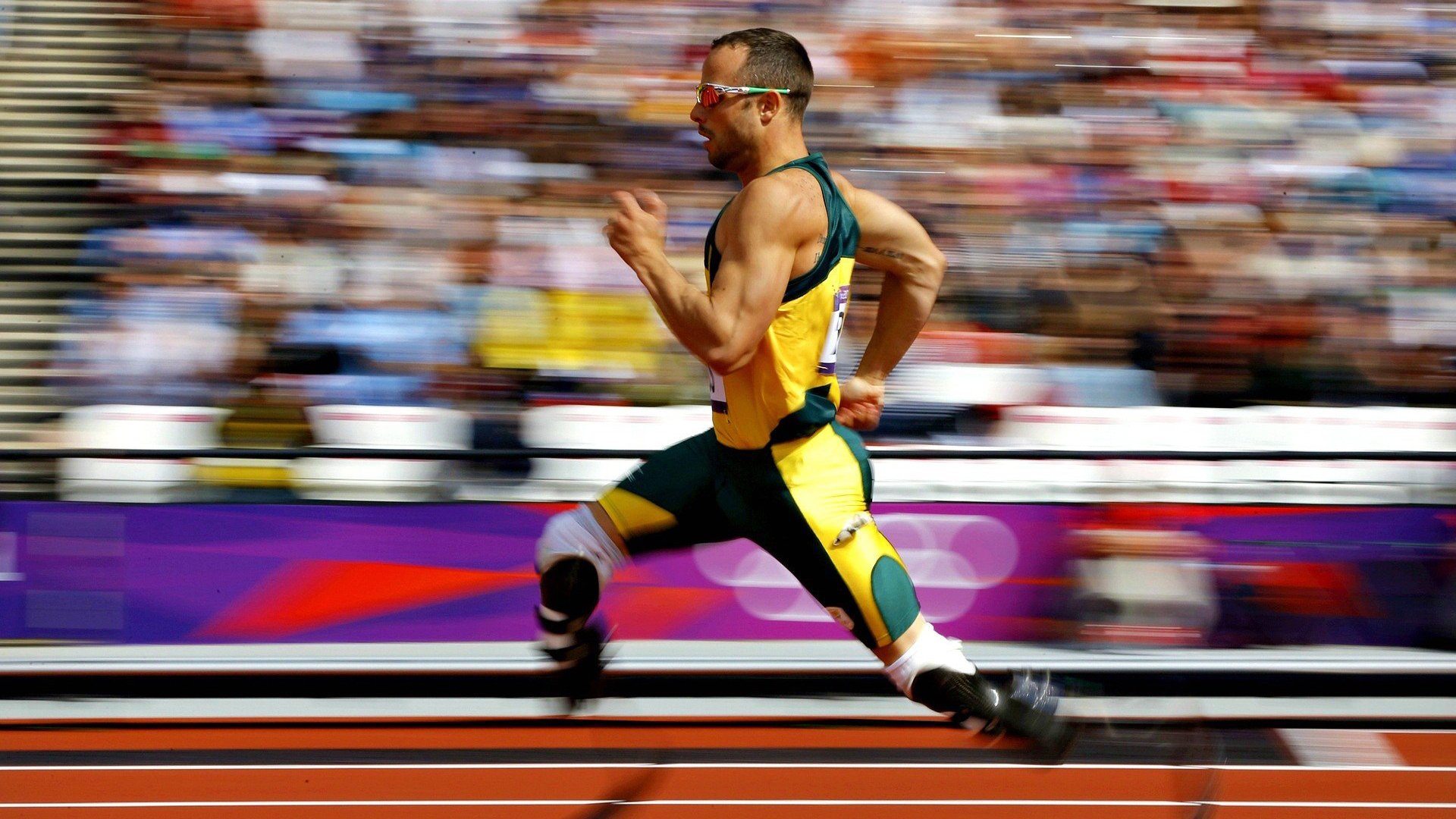 乐鱼电竞-运动科技与可视化训练系统深度融合，运动技术全景分析