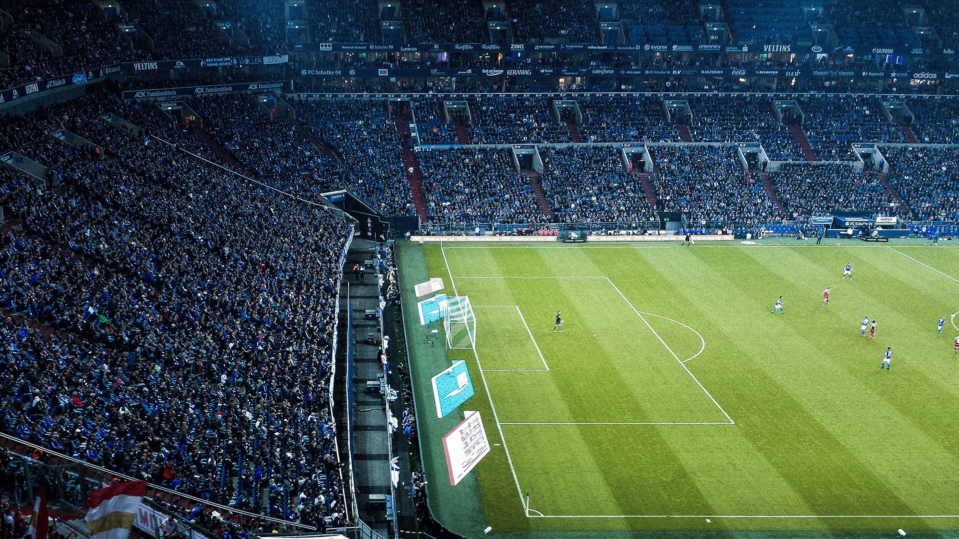 医药股如何应对特朗普新政冲击？，医药股还会继续走强吗